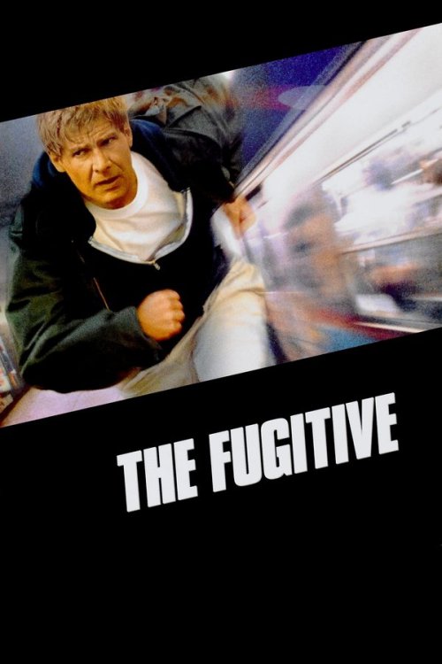 The Fugitive 1993 WEB-DL Dual Audio - FlixBD