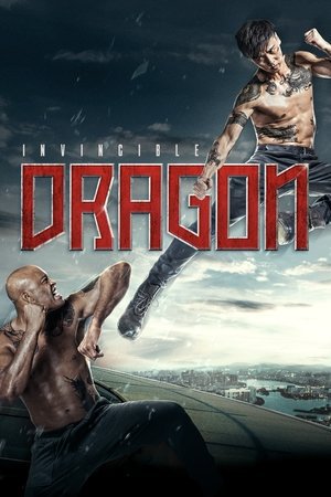 The Invincible Dragon 2019 WEB-DL Dual Audio [Hindi + Chinese] - FlixBD