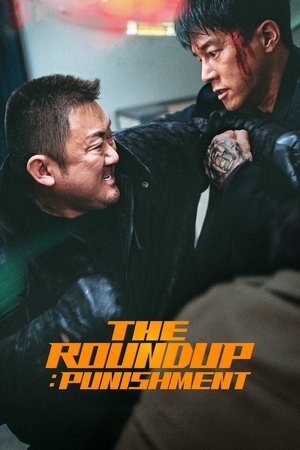 The Roundup: Punishment 2024 WEB-DL Dual Audio - FlixBD