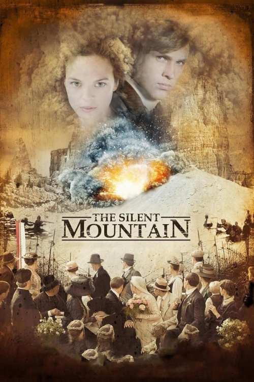 The Silent Mountain 2014 WEB-DL Dual Audio - FlixBD