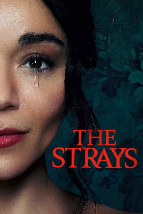 The Strays 2023 WEB-DL Dual Audio - FlixBD