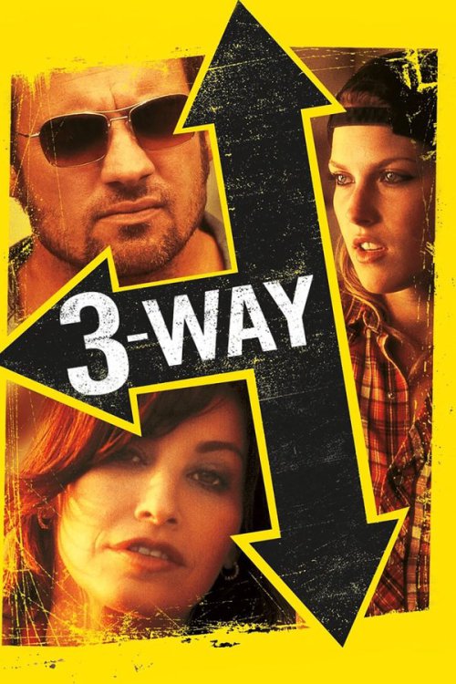 Three Way 2004 WEB-DL Dual Audio [Hindi Dubbed & English] - FlixBD