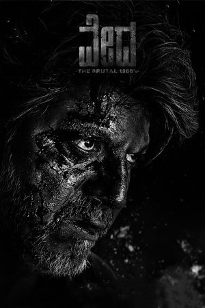 Vedha 2022 WEB-DL Hindi - FlixBD
