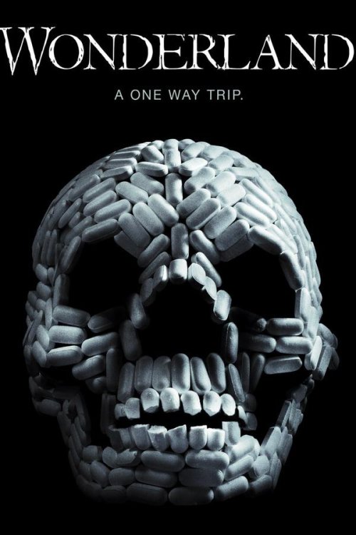 VIViD 2011 WEB-DL Dual Audio - FlixBD