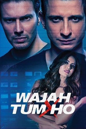 Wajah Tum Ho 2016 WEB-DL Hindi - FlixBD