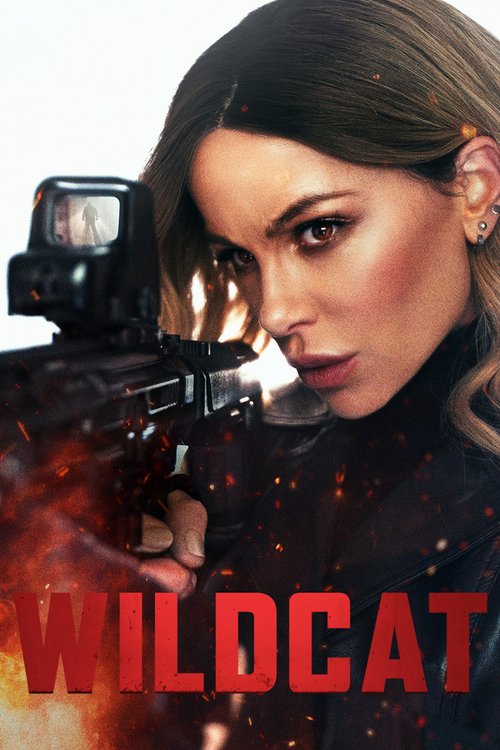 Wildcat 2025 WEB-DL Dual Audio - FlixBD