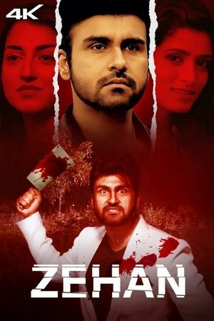 Zehan 2024 WEB-DL Hindi - FlixBD